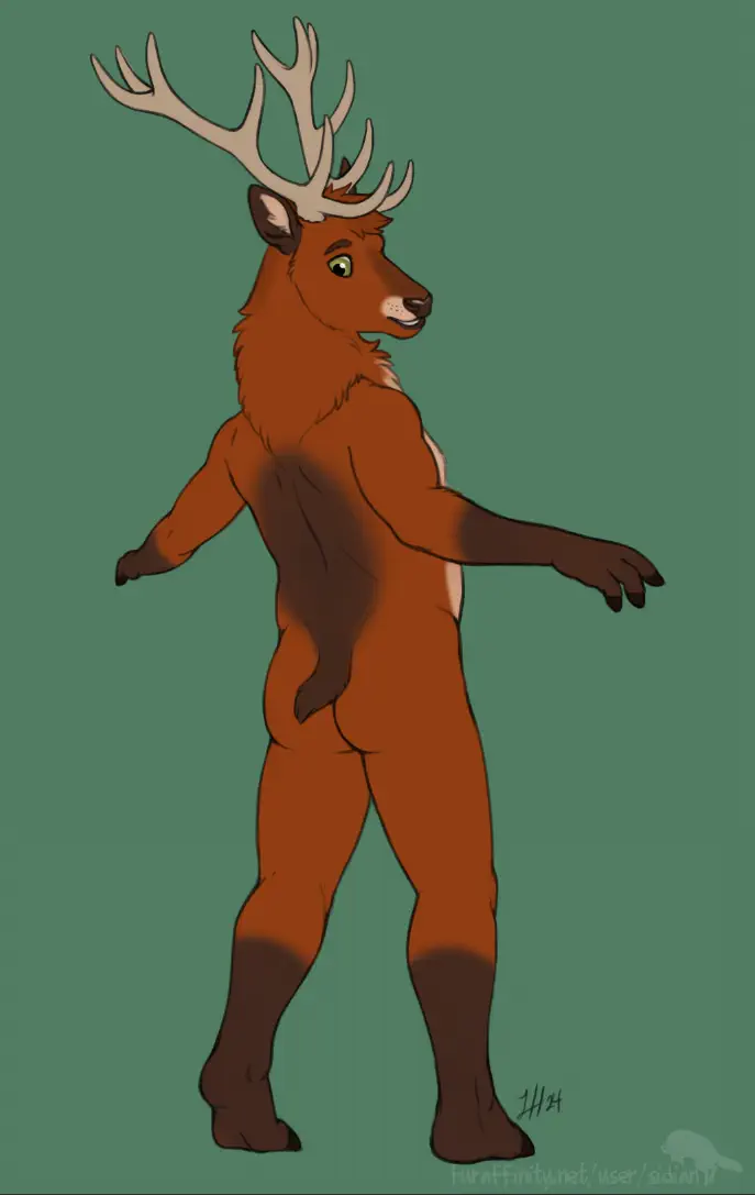 nude anthro deer looks at his tail with surprise.